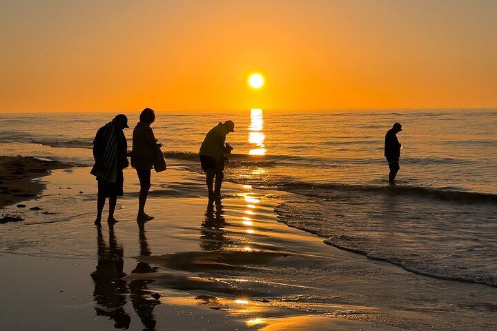 Operator photograph for St. Pete Dolphin & Shell Key Sunset Cruise