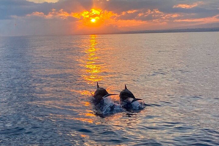 Operator photograph for Hilton Head Island Sunset Dolphin Tour
